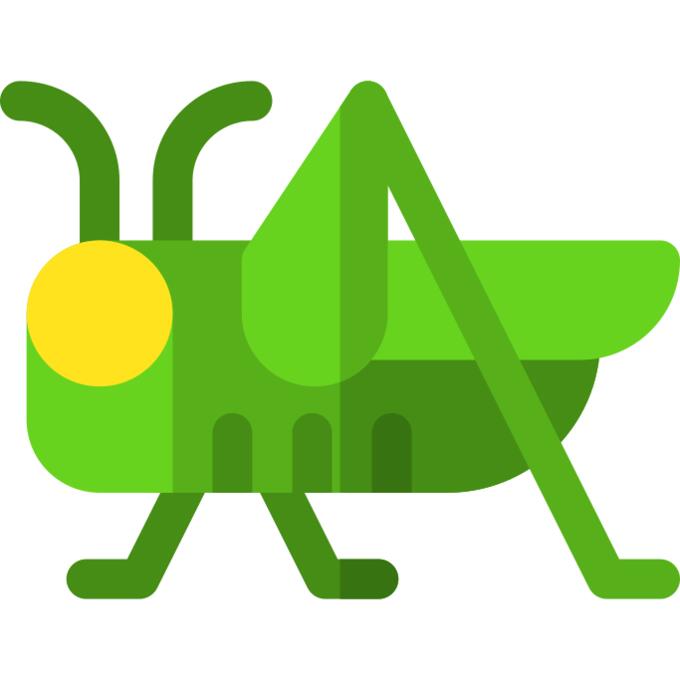 蚱蜢