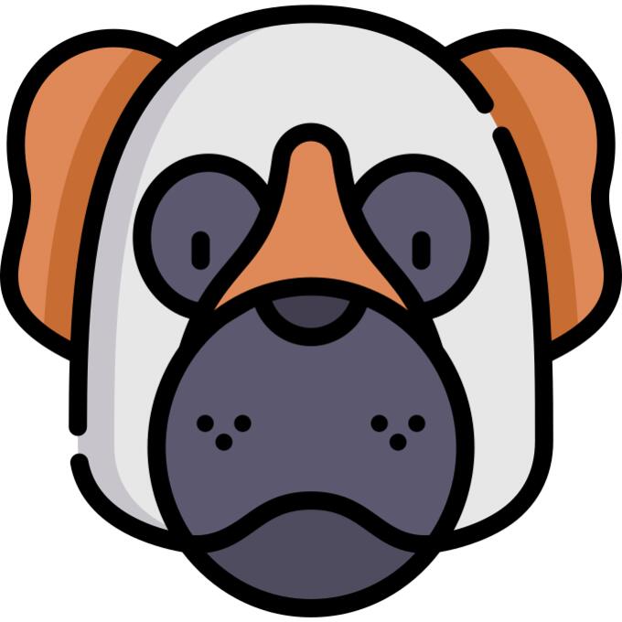 Saint bernard