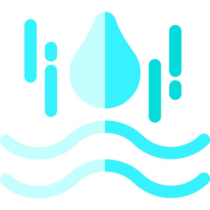 Waves