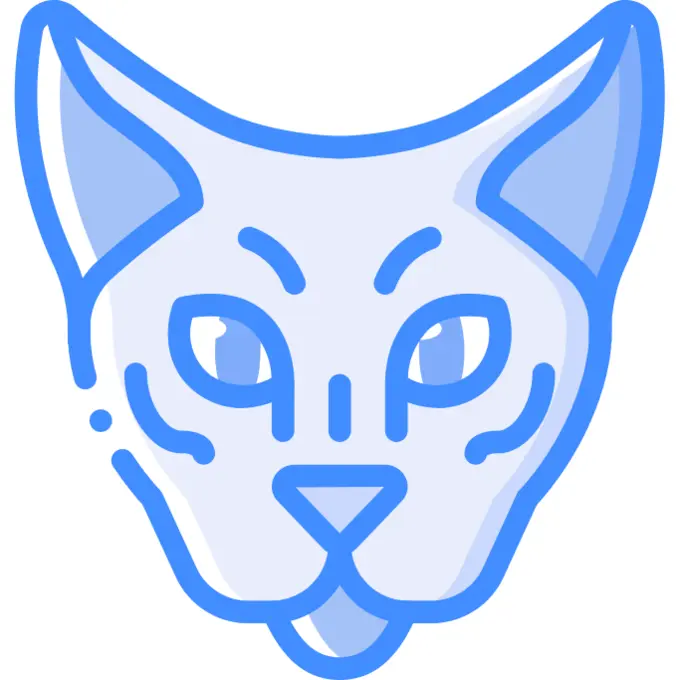 猫
