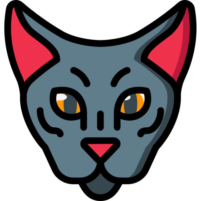猫