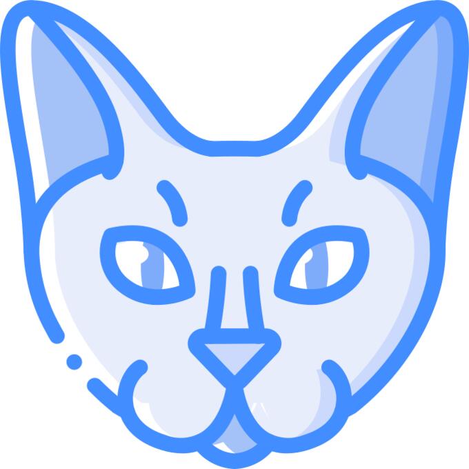 猫