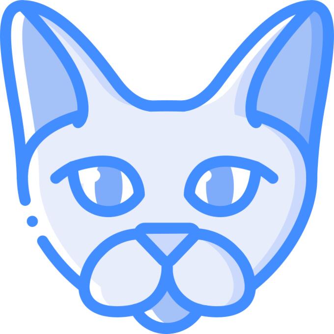 猫