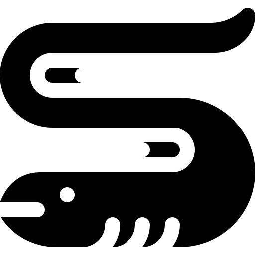 鳗鱼