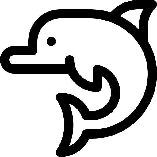 海豚