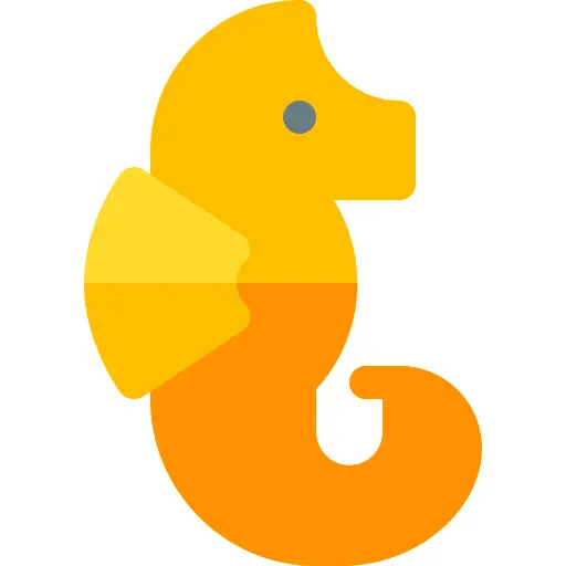Seahorse