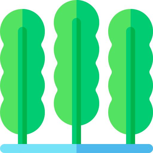 海草