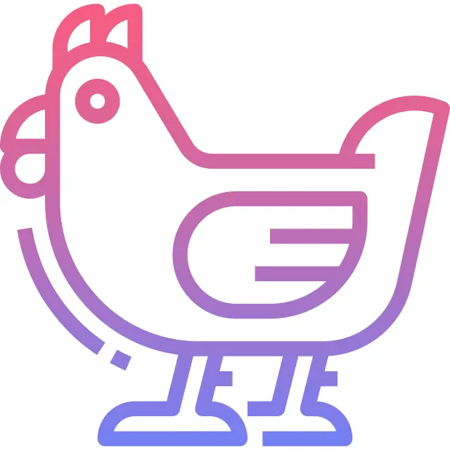 Hen