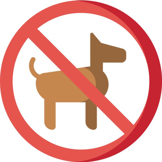 No pets