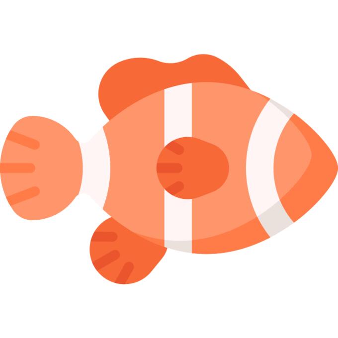Clown fish