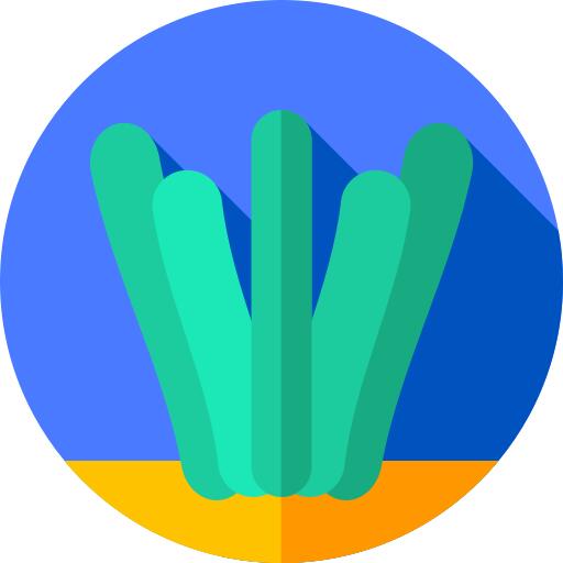 海草