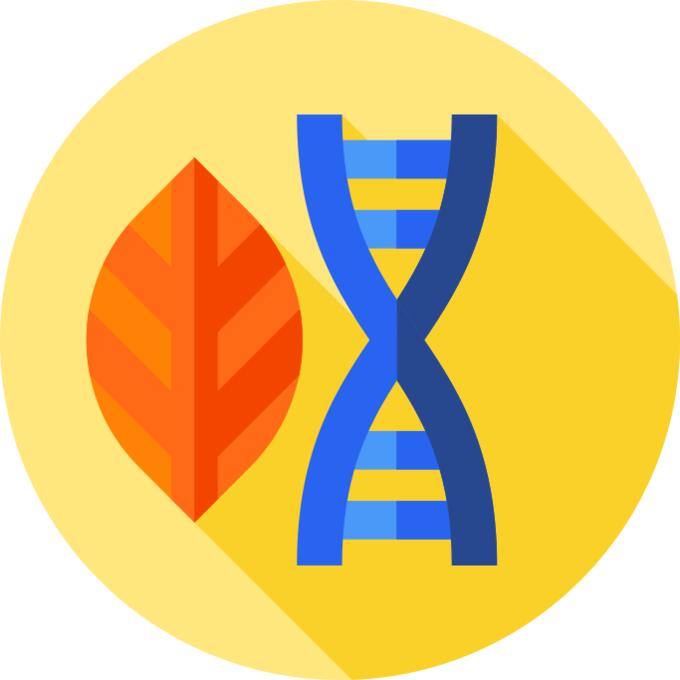 Dna