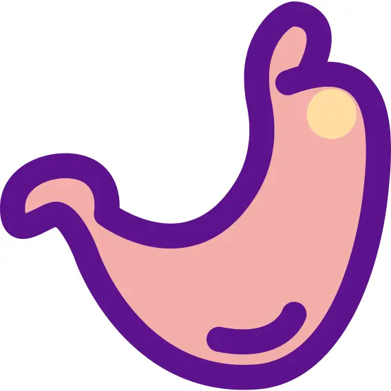 胃