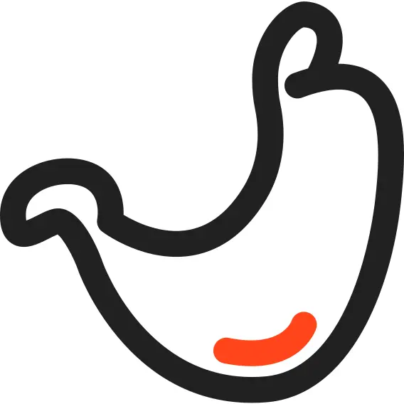 胃