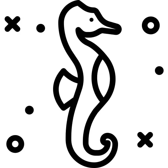 Seahorse