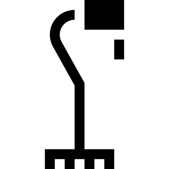 Cane
