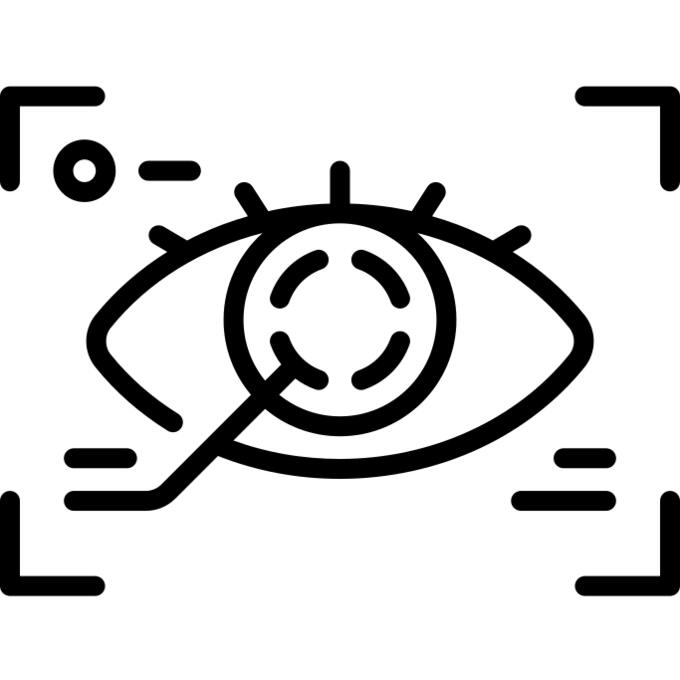 Retinal scan
