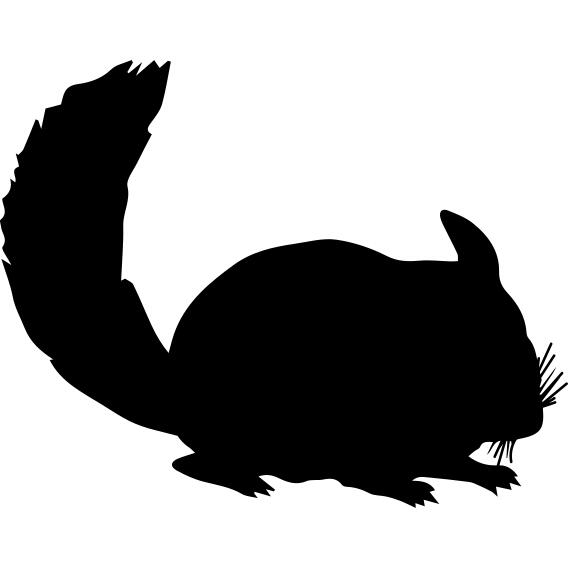 Chinchilla mammal animal silhouette