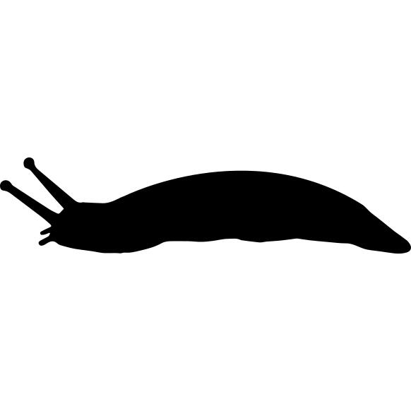 Slug shape