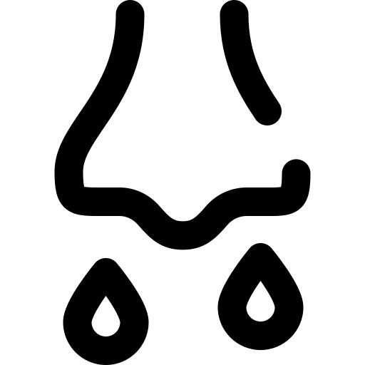 鼻子