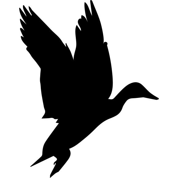 Bird Waterfowl shape