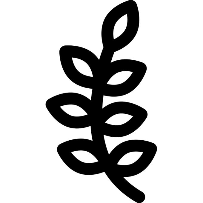 科