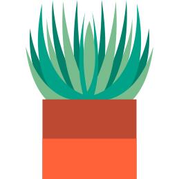 Aloe