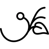 Branch with a leaf and a seed