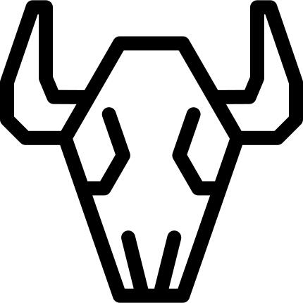 Buffalo Skull