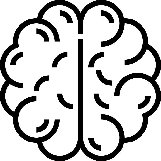 Brain