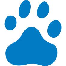 Baidu