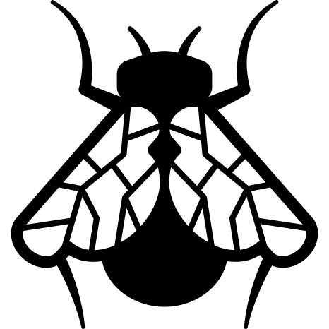 Fly