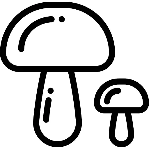 Mushroom