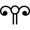 Female reproductive system representation