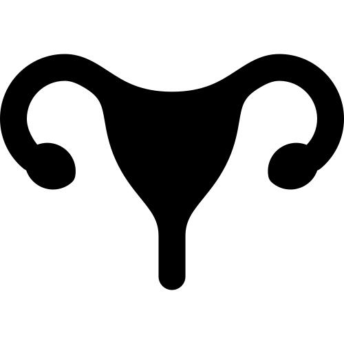 Uterus