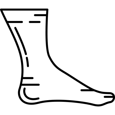 Human Ankle