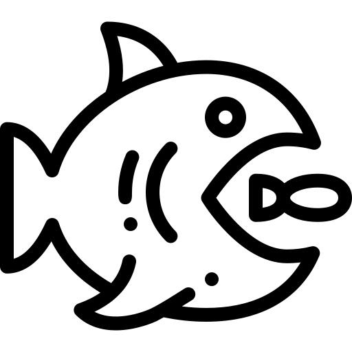 Big fish