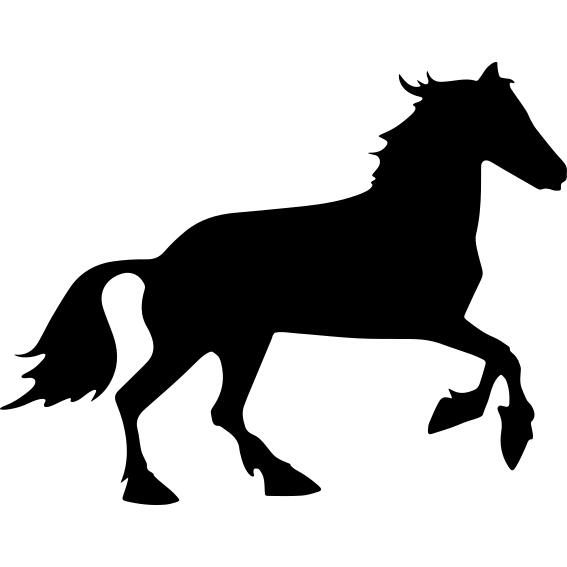 Horse black shape