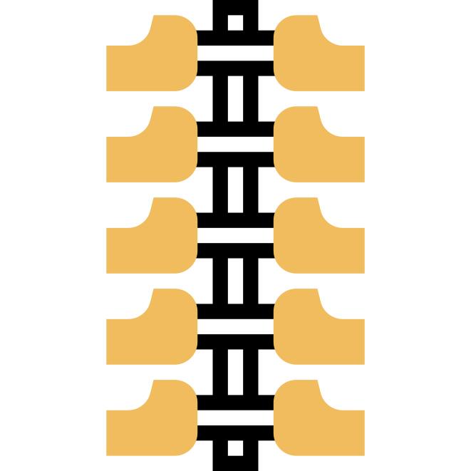 Spine