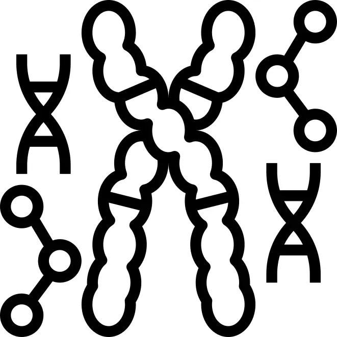 Dna