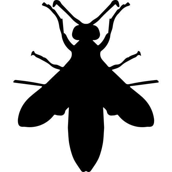 Wasp silhouette