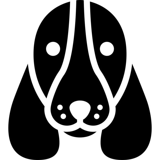 Basset Hound dog head