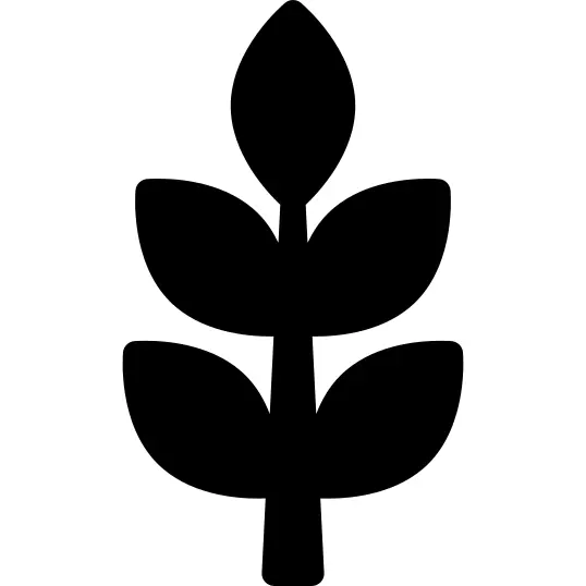 Ear of wheat silhouette