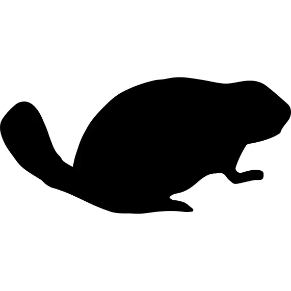 Beaver mammal animal shape