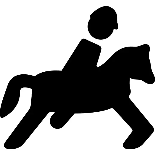 Equestrian race