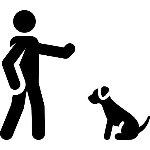 Dog training