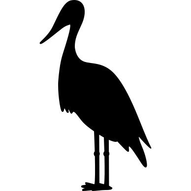 Stork