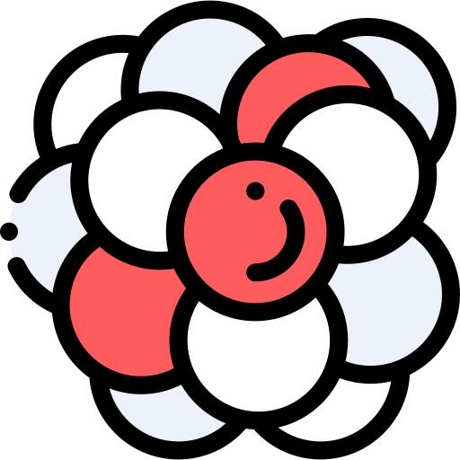 Nucleus