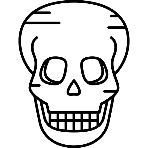 Human Skull