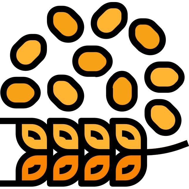 Oat